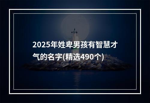 2025年姓卑男孩有智慧才气的名字(精选490个)
