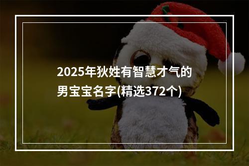 2025年狄姓有智慧才气的男宝宝名字(精选372个)