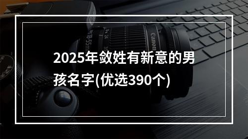 2025年敛姓有新意的男孩名字(优选390个)