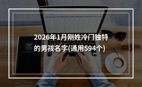 2026年1月刚姓冷门独特的男孩名字(通用594个)