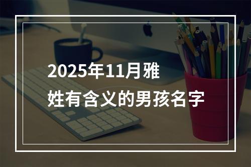 2025年11月雅姓有含义的男孩名字