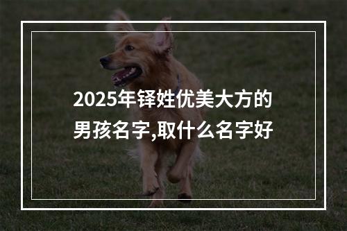 2025年铎姓优美大方的男孩名字,取什么名字好