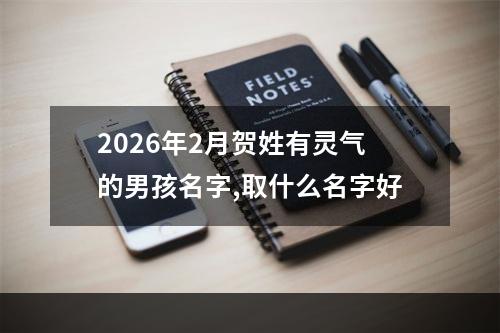 2026年2月贺姓有灵气的男孩名字,取什么名字好