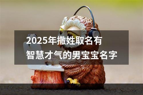 2025年撒姓取名有智慧才气的男宝宝名字