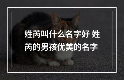 姓芮叫什么名字好 姓芮的男孩优美的名字