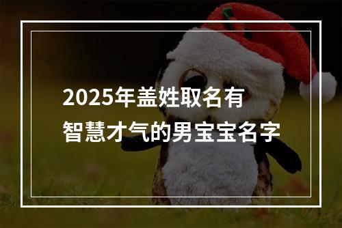 2025年盖姓取名有智慧才气的男宝宝名字