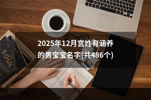 2025年12月宫姓有涵养的男宝宝名字(共486个)