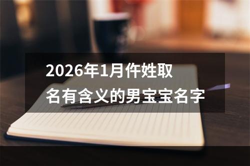 2026年1月仵姓取名有含义的男宝宝名字
