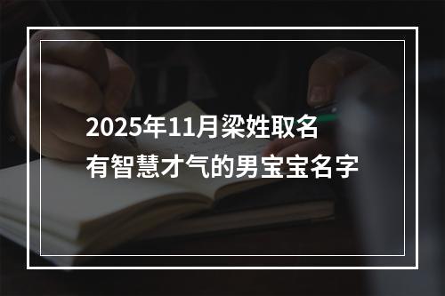2025年11月梁姓取名有智慧才气的男宝宝名字