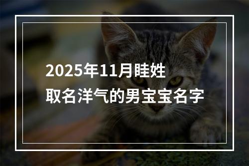 2025年11月眭姓取名洋气的男宝宝名字