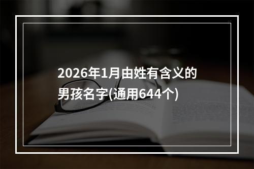 2026年1月由姓有含义的男孩名字(通用644个)