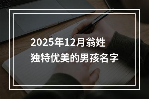 2025年12月翁姓独特优美的男孩名字