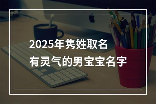 2025年隽姓取名有灵气的男宝宝名字