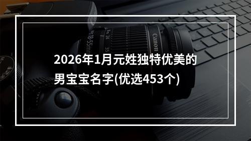 2026年1月元姓独特优美的男宝宝名字(优选453个)