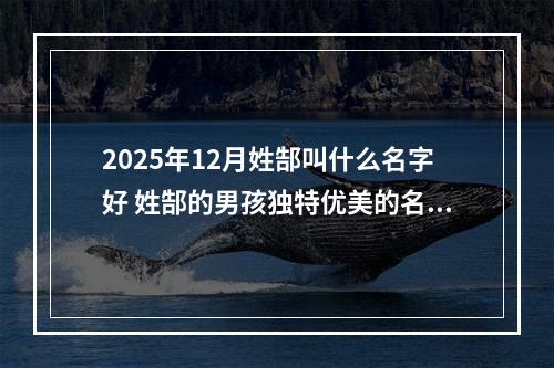 2025年12月姓郜叫什么名字好 姓郜的男孩独特优美的名字