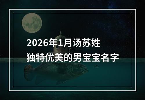 2026年1月汤苏姓独特优美的男宝宝名字