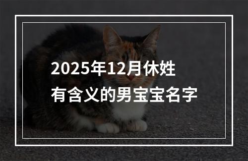 2025年12月休姓有含义的男宝宝名字
