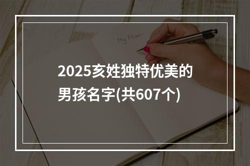 2025亥姓独特优美的男孩名字(共607个)