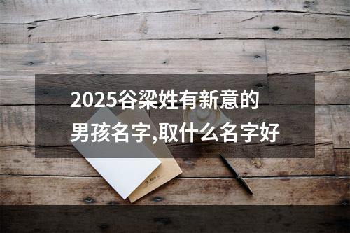 2025谷梁姓有新意的男孩名字,取什么名字好