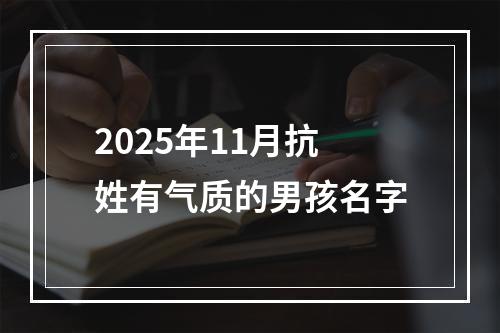 2025年11月抗姓有气质的男孩名字