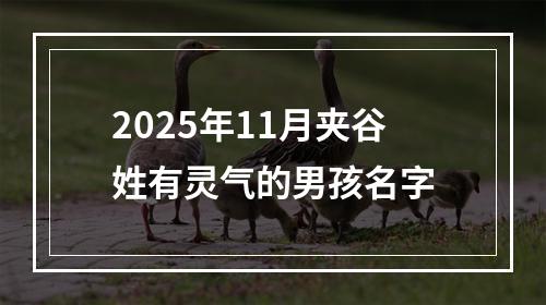2025年11月夹谷姓有灵气的男孩名字