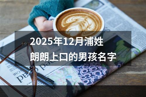 2025年12月浦姓朗朗上口的男孩名字