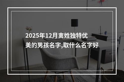 2025年12月禽姓独特优美的男孩名字,取什么名字好