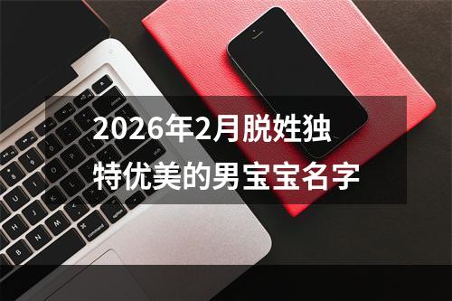 2026年2月脱姓独特优美的男宝宝名字