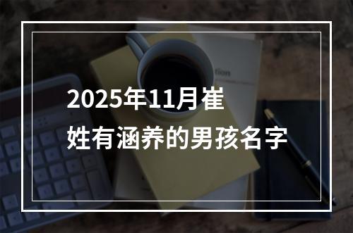 2025年11月崔姓有涵养的男孩名字
