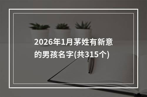 2026年1月茅姓有新意的男孩名字(共315个)