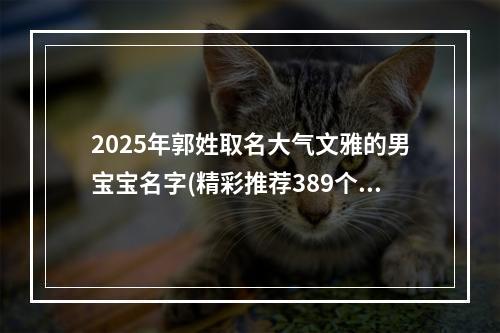 2025年郭姓取名大气文雅的男宝宝名字(精彩推荐389个)