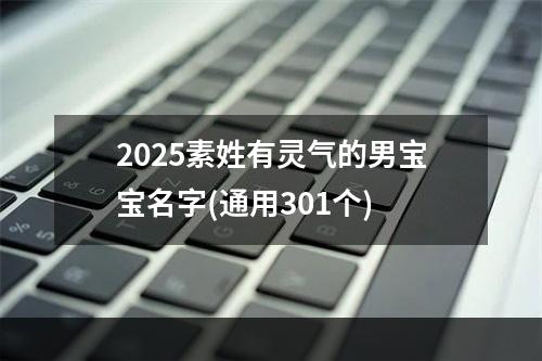 2025素姓有灵气的男宝宝名字(通用301个)