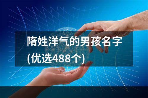 隋姓洋气的男孩名字(优选488个)