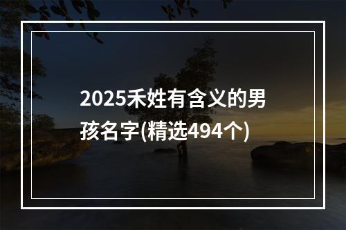 2025禾姓有含义的男孩名字(精选494个)