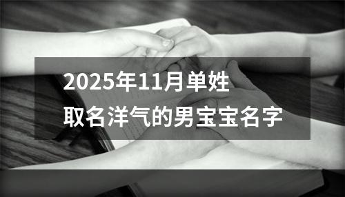 2025年11月单姓取名洋气的男宝宝名字