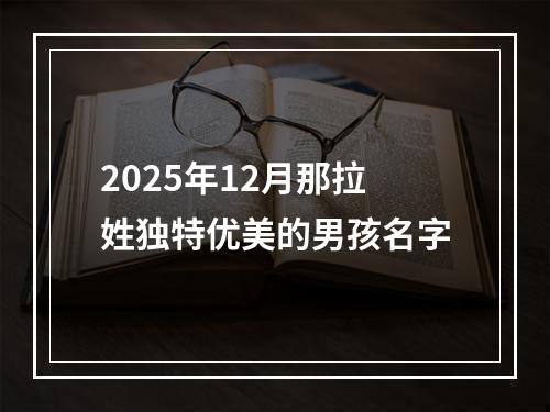 2025年12月那拉姓独特优美的男孩名字