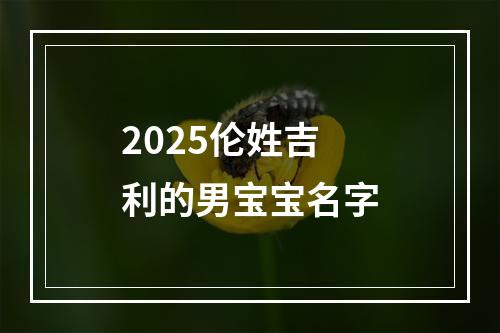 2025伦姓吉利的男宝宝名字