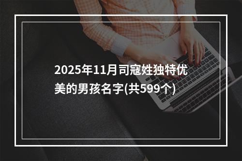 2025年11月司寇姓独特优美的男孩名字(共599个)