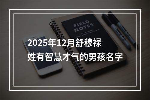2025年12月舒穆禄姓有智慧才气的男孩名字