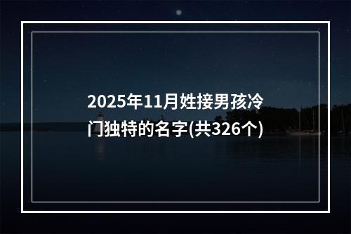 2025年11月姓接男孩冷门独特的名字(共326个)