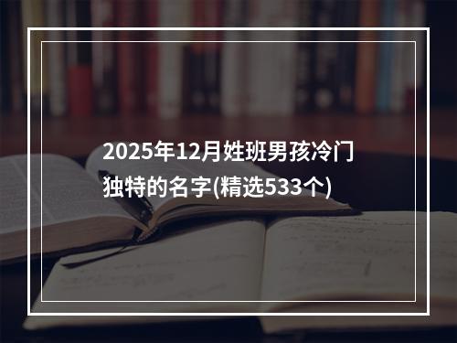 2025年12月姓班男孩冷门独特的名字(精选533个)