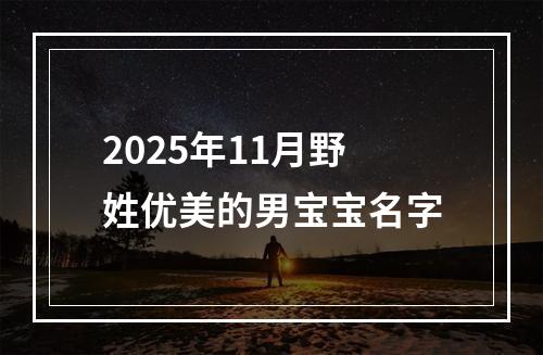 2025年11月野姓优美的男宝宝名字