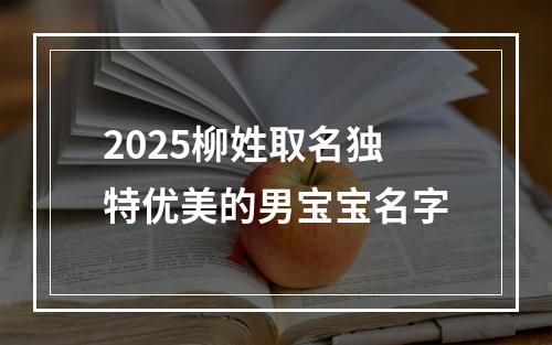 2025柳姓取名独特优美的男宝宝名字