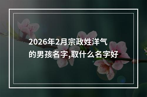 2026年2月宗政姓洋气的男孩名字,取什么名字好