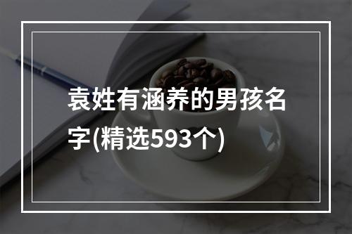 袁姓有涵养的男孩名字(精选593个)