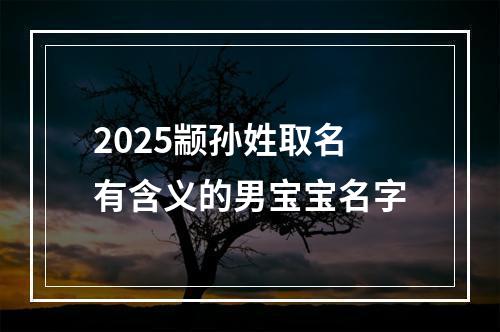 2025颛孙姓取名有含义的男宝宝名字
