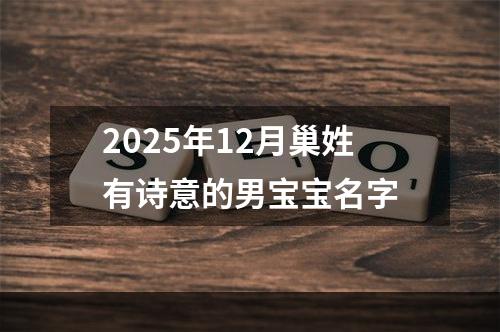 2025年12月巢姓有诗意的男宝宝名字