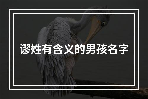 谬姓有含义的男孩名字