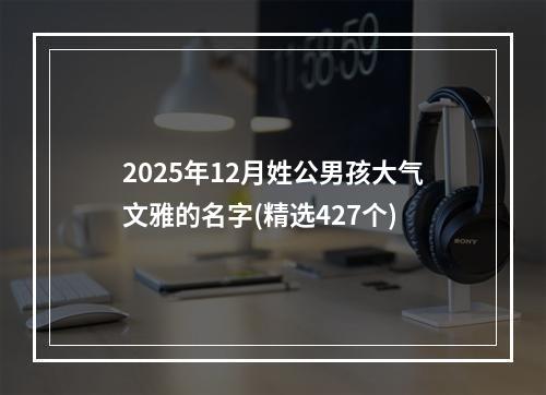 2025年12月姓公男孩大气文雅的名字(精选427个)