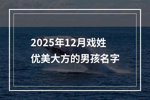 2025年12月戏姓优美大方的男孩名字